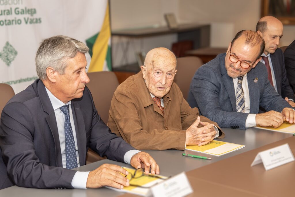 fundación